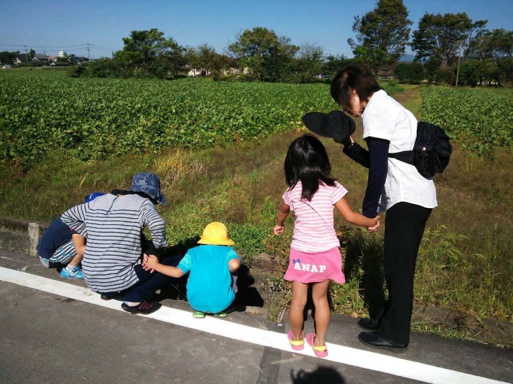 秋晴れの下でお散歩!